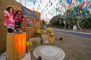 FOTOS-11