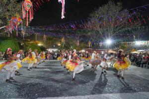 FOTOS-291